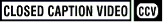 Closed Captioning Closed Captioning